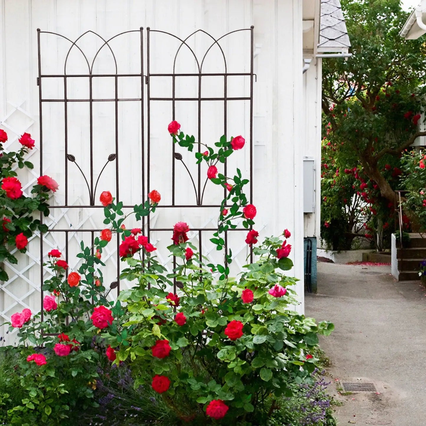 Rustproof Metal Trellis For Climbing Plants