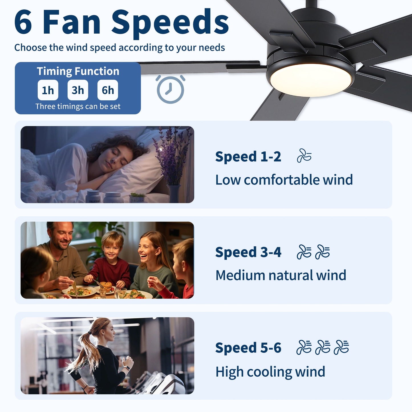 Reversible motor integrated LED dimmable ceiling fan with light, black blades and round LED diffuser on Tampa Home & Garden Store