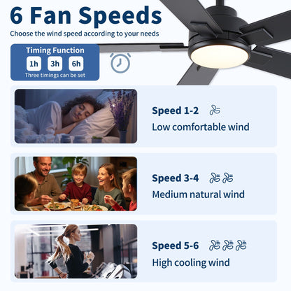 Reversible motor integrated LED dimmable ceiling fan with light, black blades and round LED diffuser on Tampa Home & Garden Store