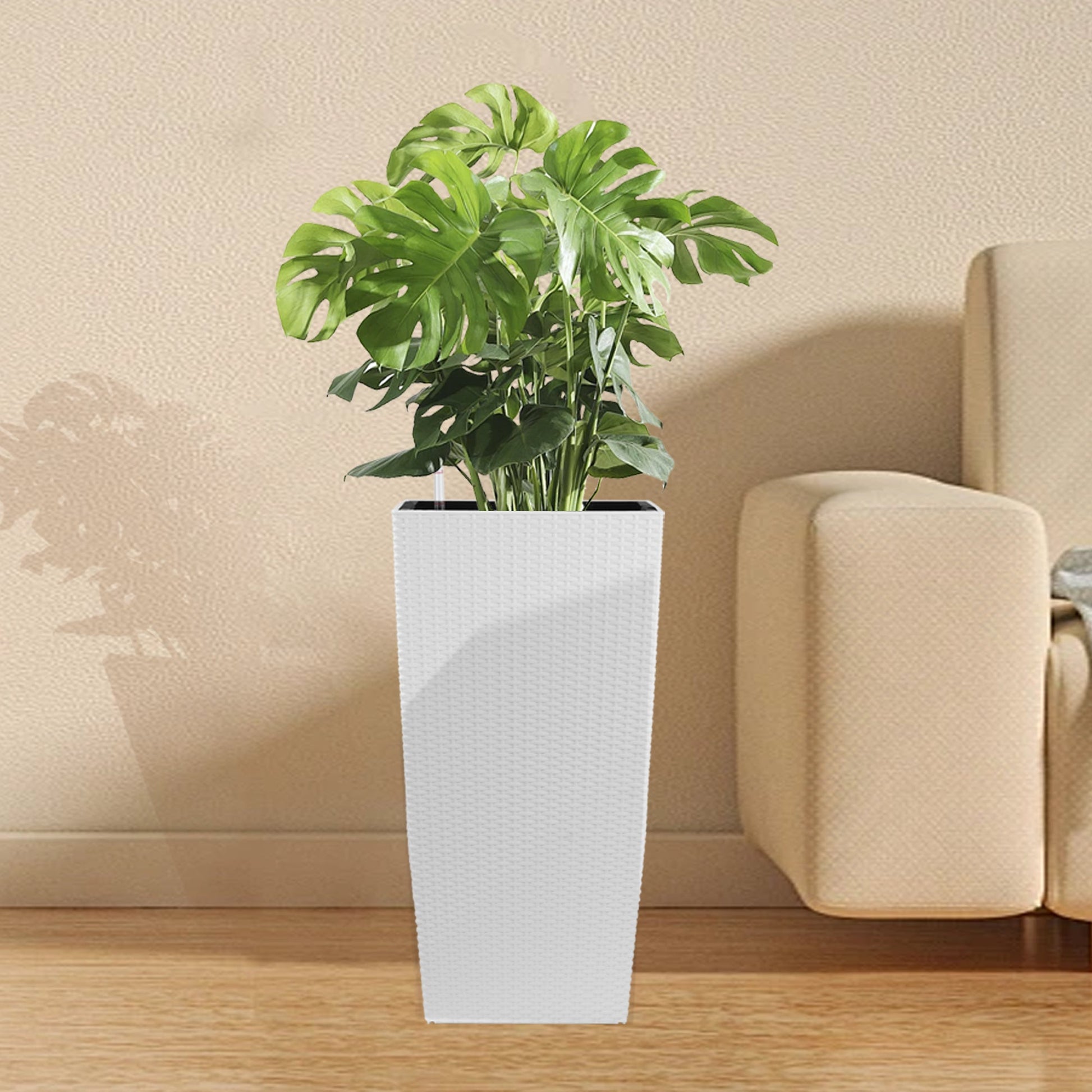 White faux rattan square planter with Monstera 22.6 in plastic, auto-watering system on Tampa Home & Garden Store