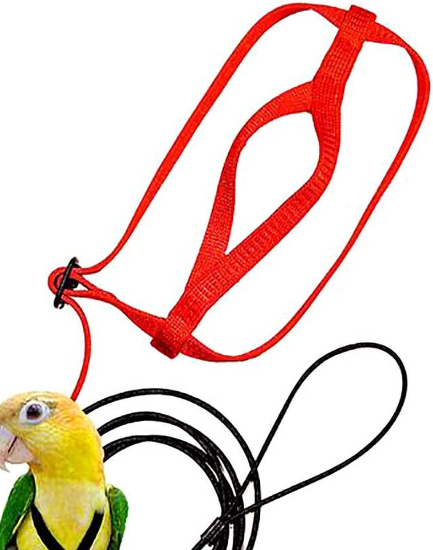 Parrot flying harness with red nylon strap and black rope leash Sell My Stuff on Tampa Home & Garden Store