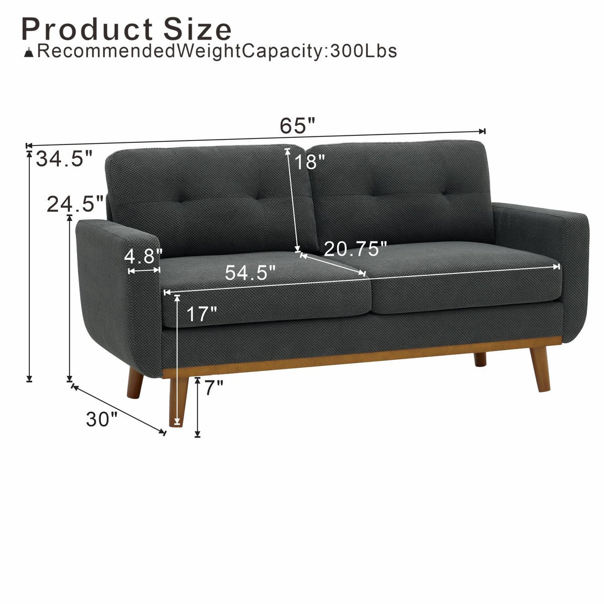 65 Inch Modern Minimalist Two Seater Sofa