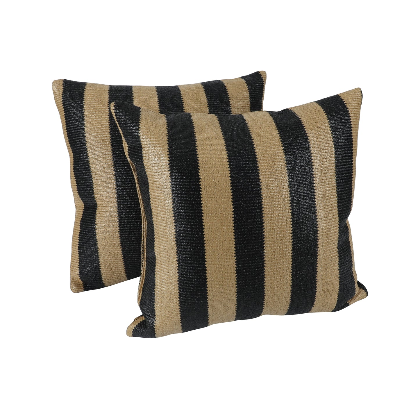 2 Pack Outdoor Throw Pillows and Patio Decor