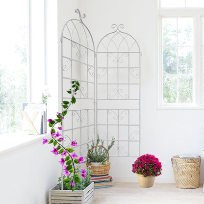 Metal Trellis For Climbing Plants And Vines