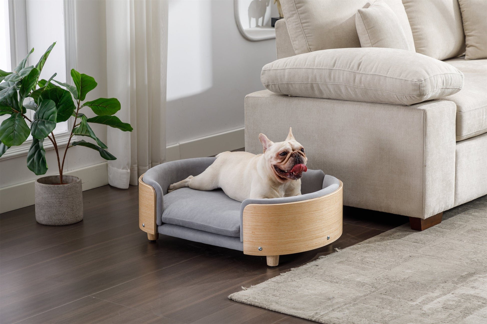 HouseOfZazla Scandinavian style elevated dog bed with light grey velvet cushion, mid-size on Tampa Home & Garden Store