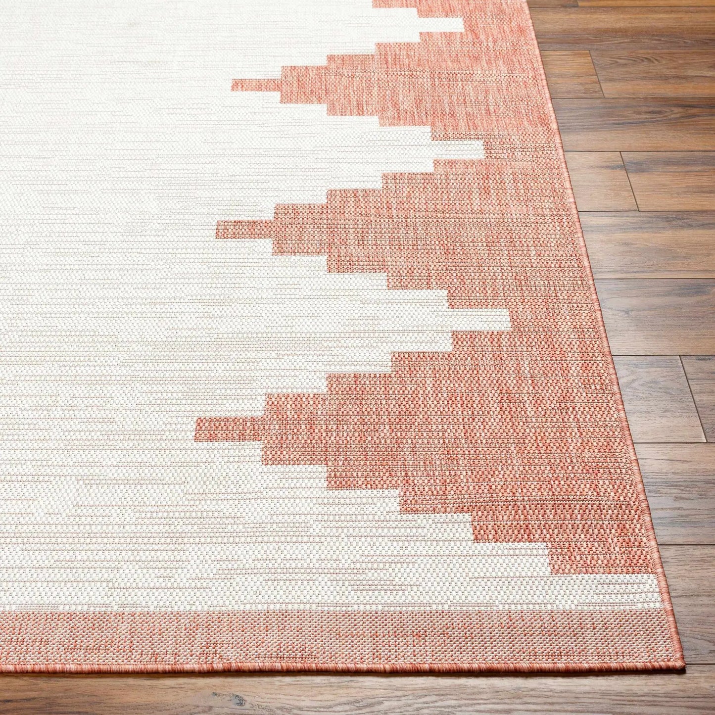 Djugun Peach Fuzz Indoor & Outdoor Area Rug by Boutique Rugs, peach border on wood floor on Tampa Home & Garden Store