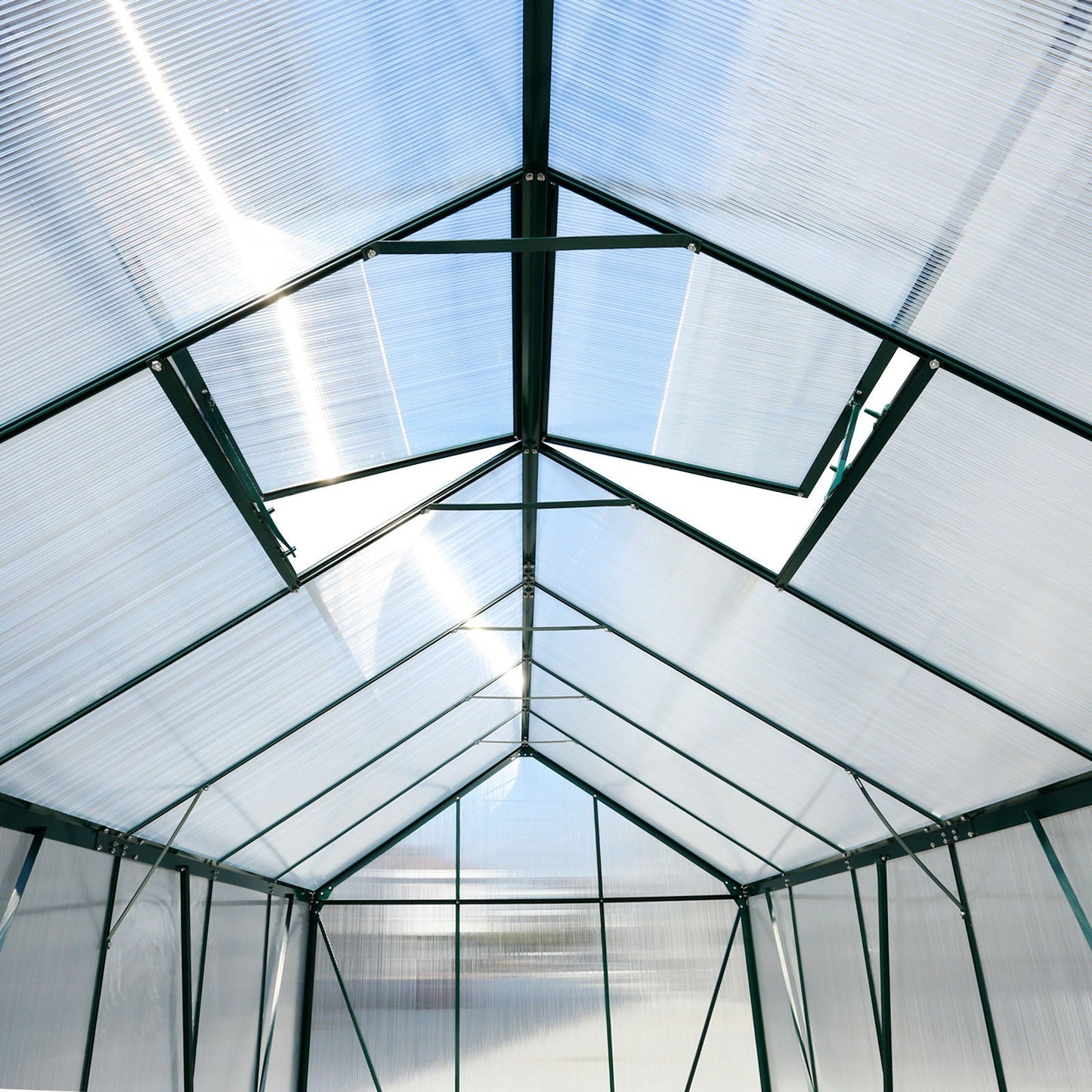 Heavy Duty Polycarbonate Greenhouse Kit and Door