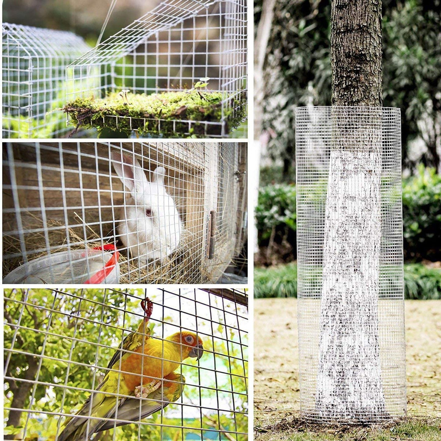 Galvanized Hardware Cloth and Garden Protection