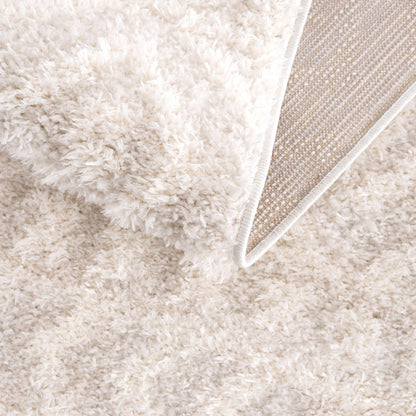 Eivin Cream Diamonds Plush Rug cream shag texture with beige border on Tampa Home & Garden Store
