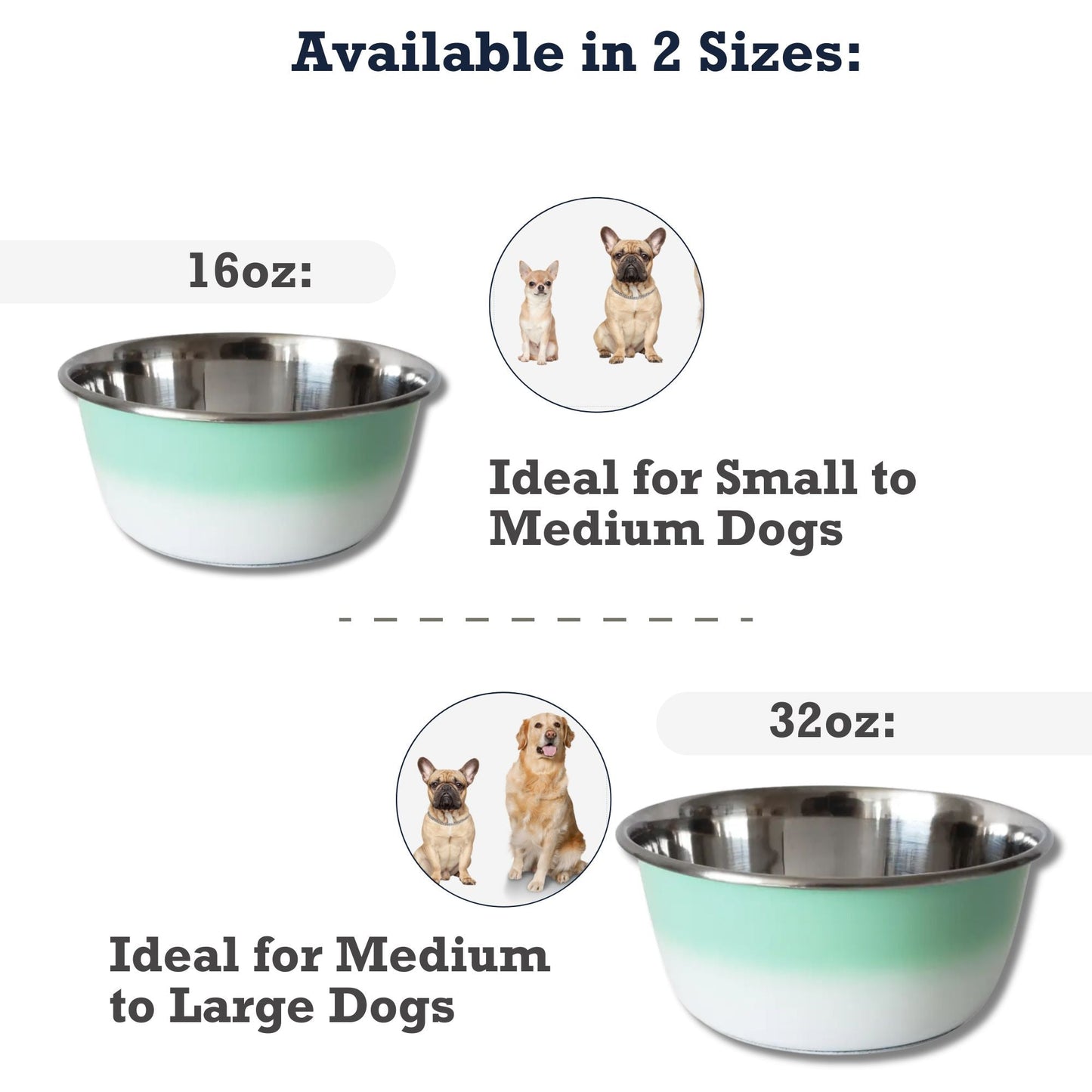 Gamelle profonde pour chien – Gamelle en acier inoxydable, idéale pour les chiens de petite, moyenne et grande taille – Vert menthe
