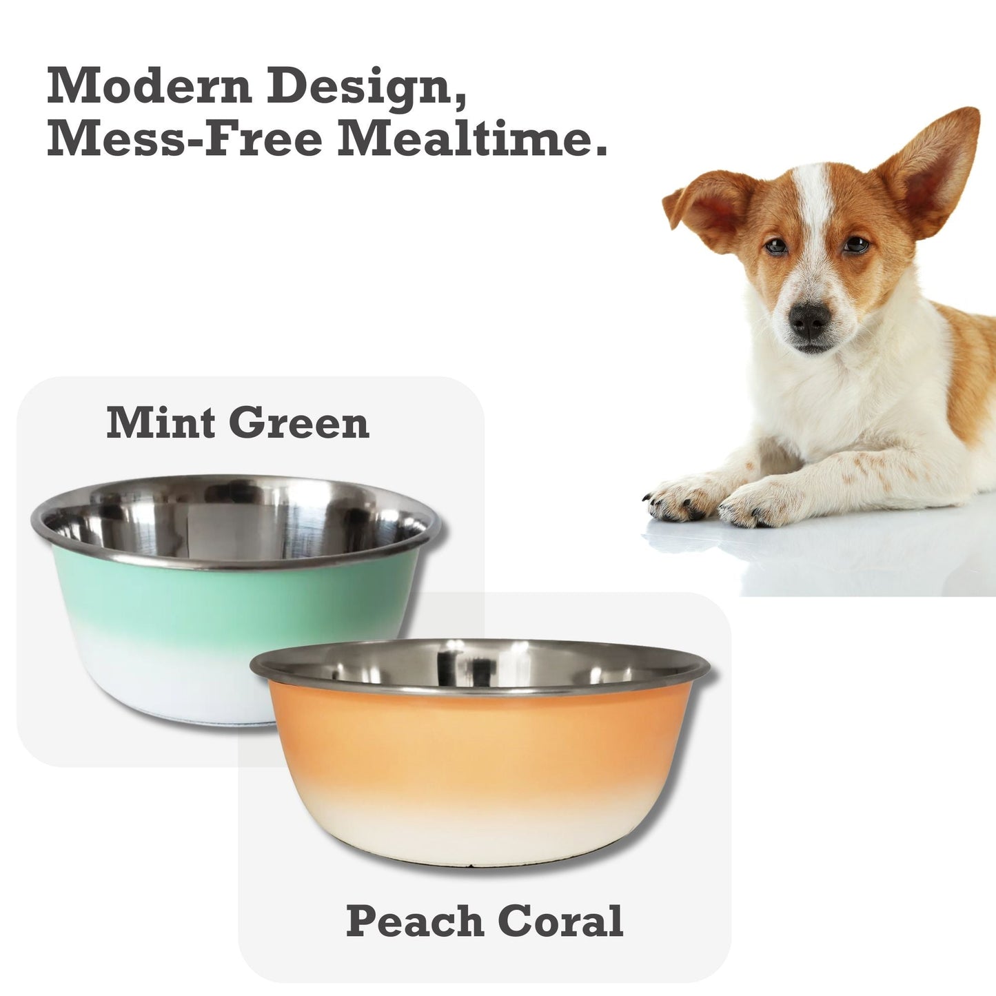 Gamelle profonde pour chien – Gamelle en acier inoxydable, idéale pour les chiens de petite, moyenne et grande taille – Vert menthe