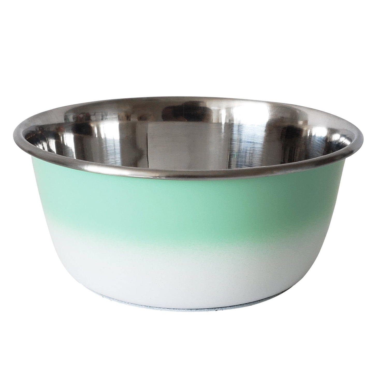 Gamelle profonde pour chien – Gamelle en acier inoxydable, idéale pour les chiens de petite, moyenne et grande taille – Vert menthe