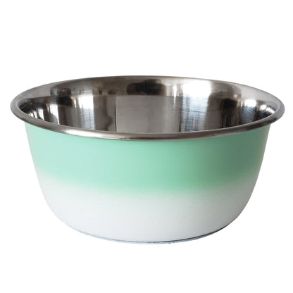 Gamelle profonde pour chien – Gamelle en acier inoxydable, idéale pour les chiens de petite, moyenne et grande taille – Vert menthe
