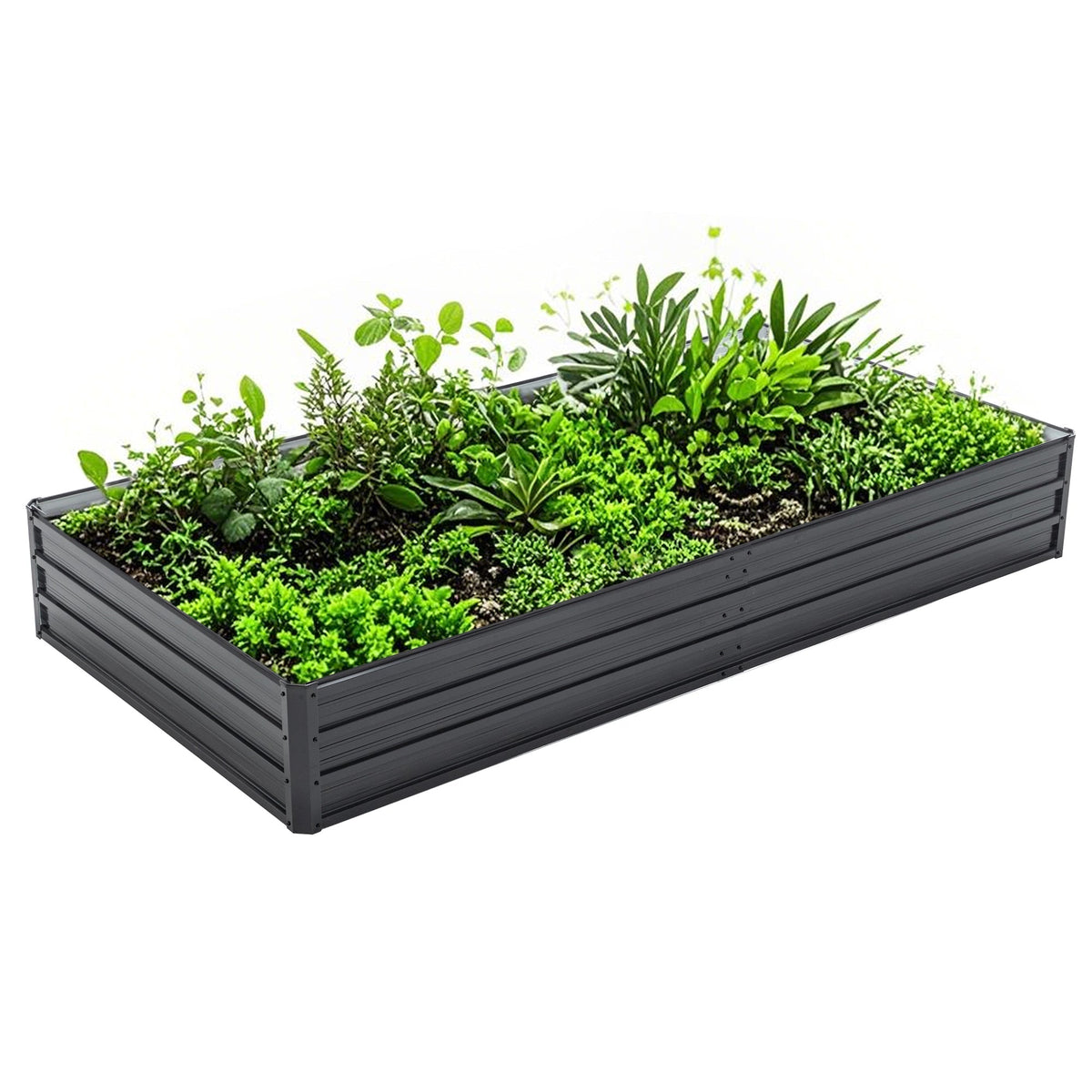 Galvanized raised garden bed planter 8x4x1 ft with herbs, HouseOfZazla outdoor living on Tampa Home & Garden Store