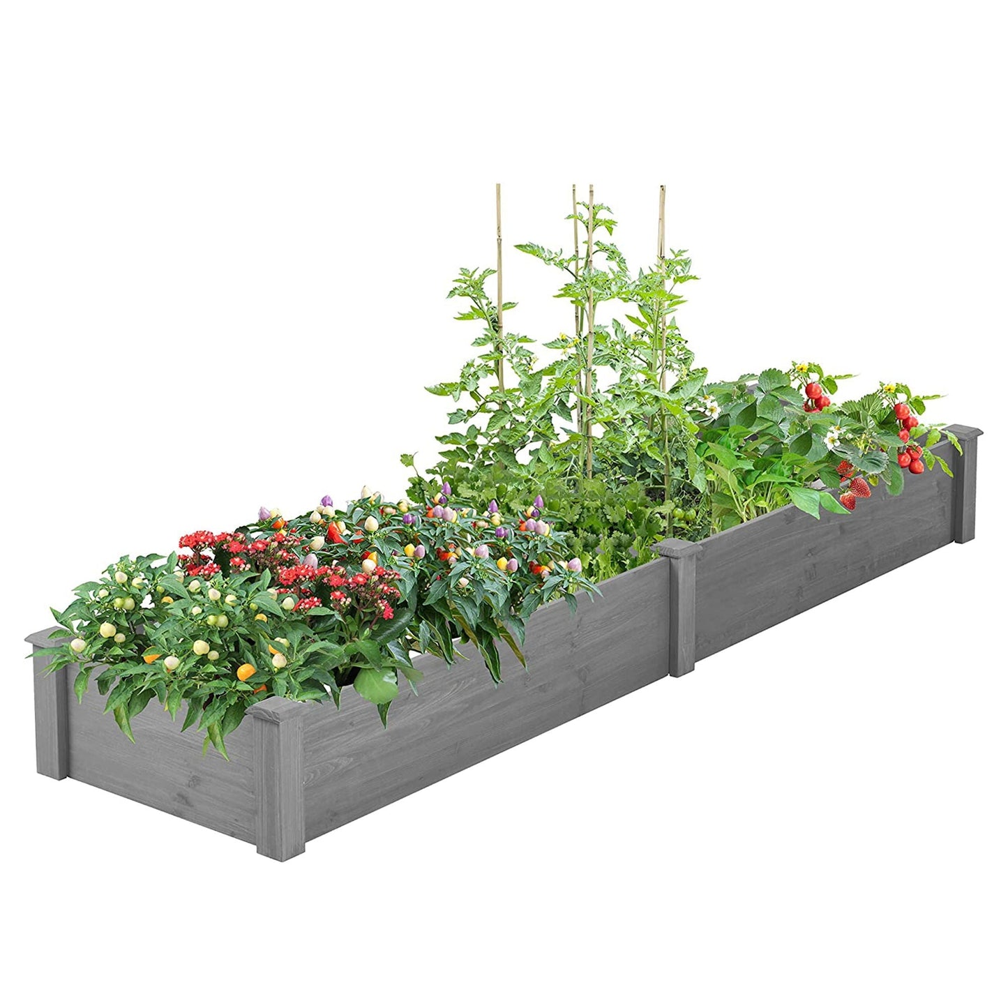 Modern Outdoor Raised Garden Bed and Stand