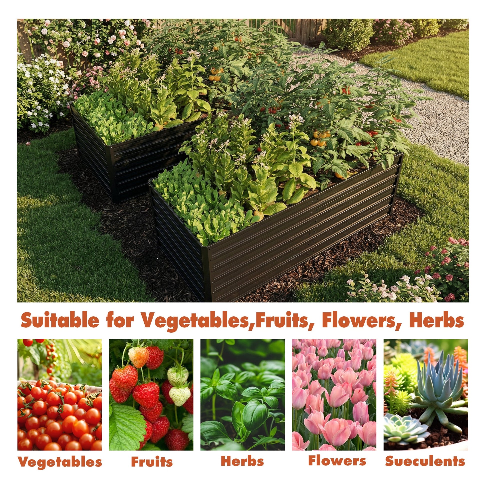2-pack galvanized metal raised garden beds, 6x3x2 ft, filled with leafy greens and tomatoes on Tampa Home & Garden Store