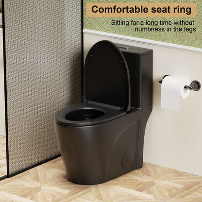Black 1-piece toilet with Tornado Flush dual flush and ADA height in a modern bathroom on Tampa Home & Garden Store