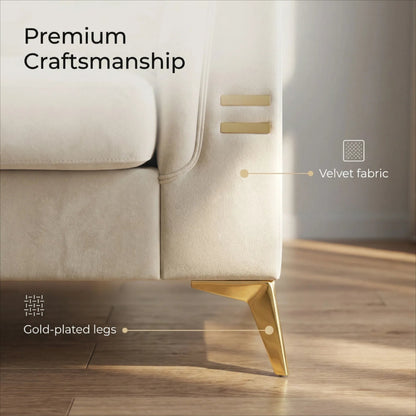 Contemporary Velvet Sofa and Throw Pillows