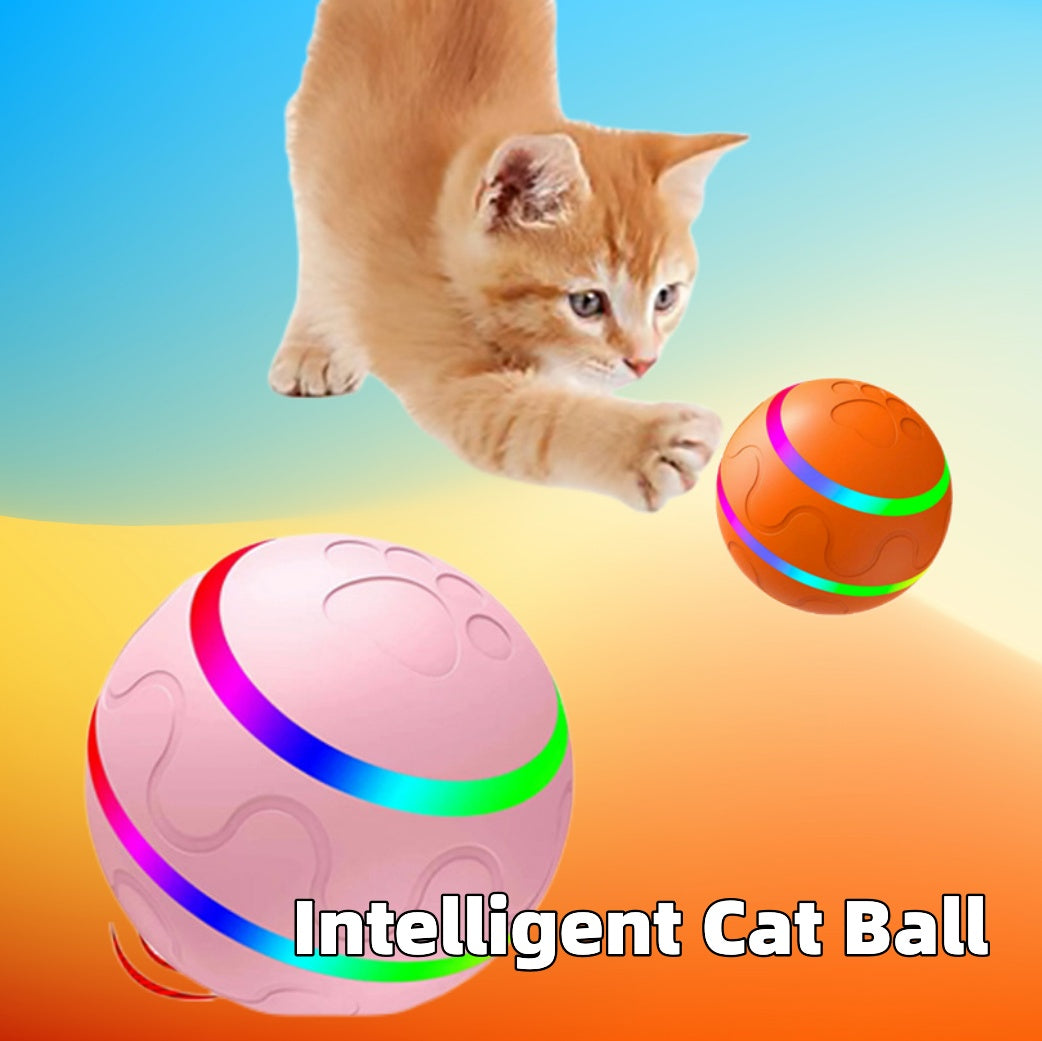 Intelligent Cat Ball chew toy in pink and orange with LED bands, USB powered, 2 balls on Tampa Home & Garden Store