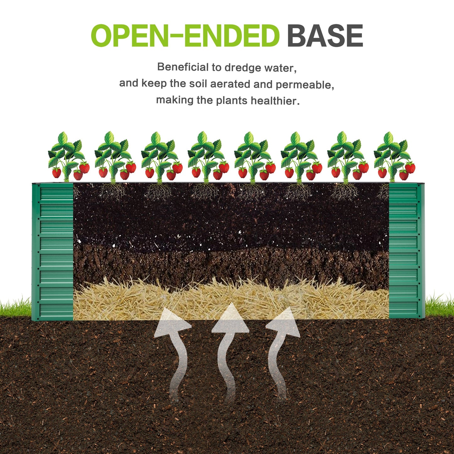 2-pack raised garden bed ergonomic no-bend design green open-ended base with strawberry plants on Tampa Home & Garden Store
