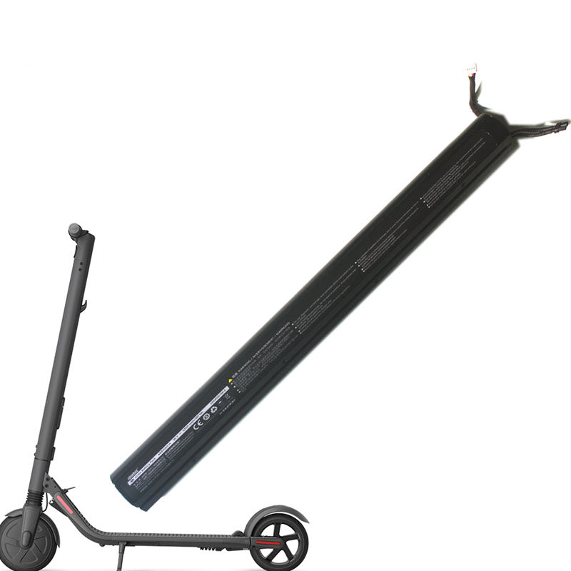 Electric Scooter Built In Battery Version
