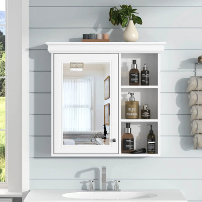 Wall Mounted Medicine Cabinet with Mirror