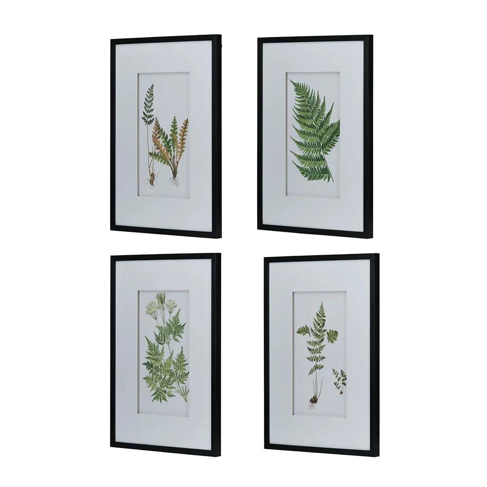 Botanical and Fern Wall Art Set of 4 White Black