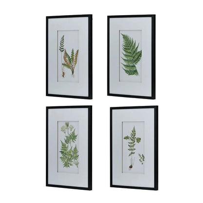 Botanical and Fern Wall Art Set of 4 White Black