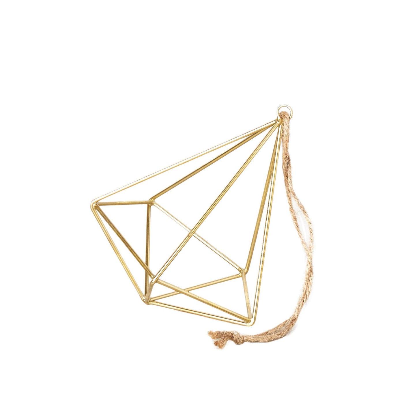 Air Plant Display Hanger Brass with geometric frame and jute rope Rooted Treasures Farms on Tampa Home & Garden Store