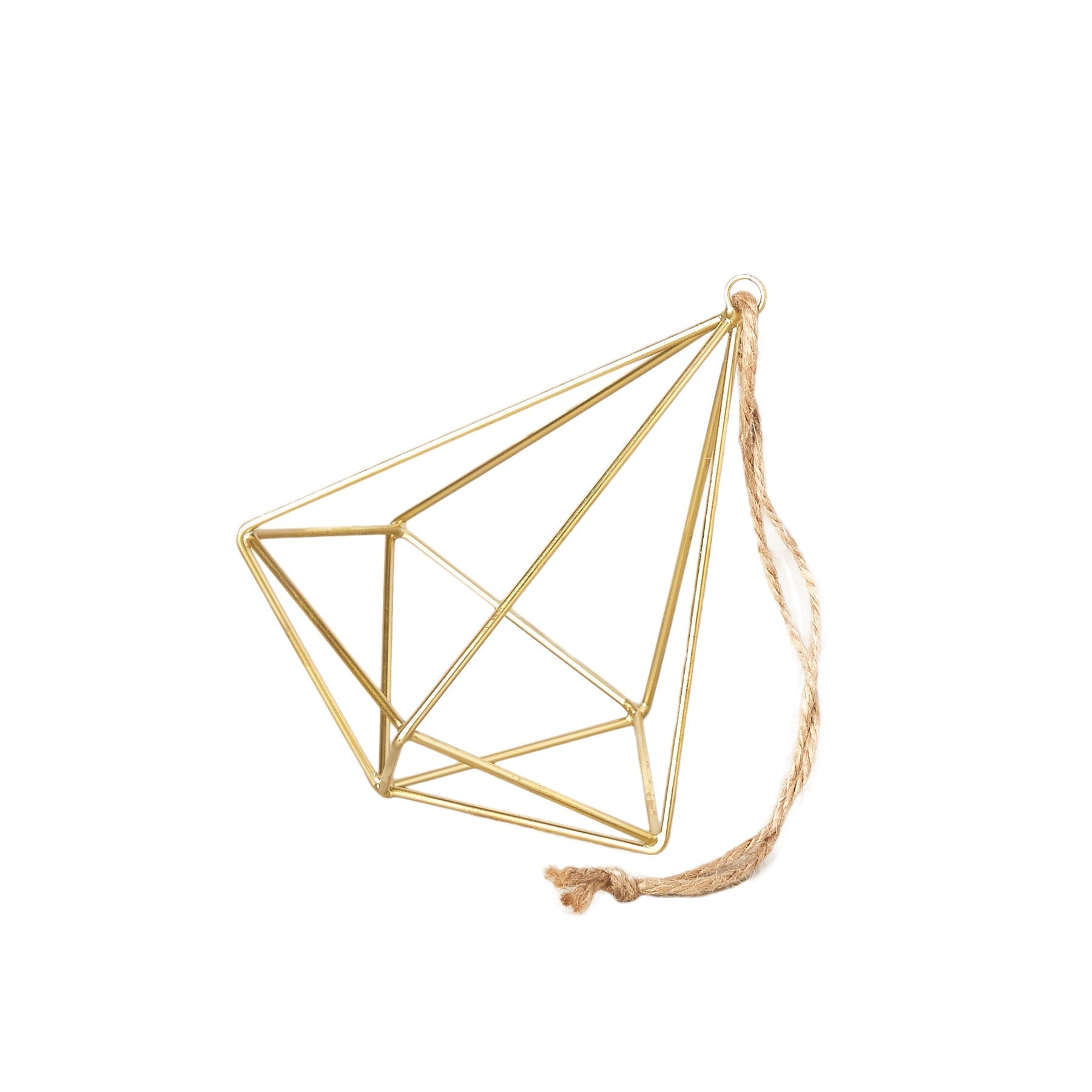 Air Plant Display Hanger Brass with geometric frame and jute rope Rooted Treasures Farms on Tampa Home & Garden Store