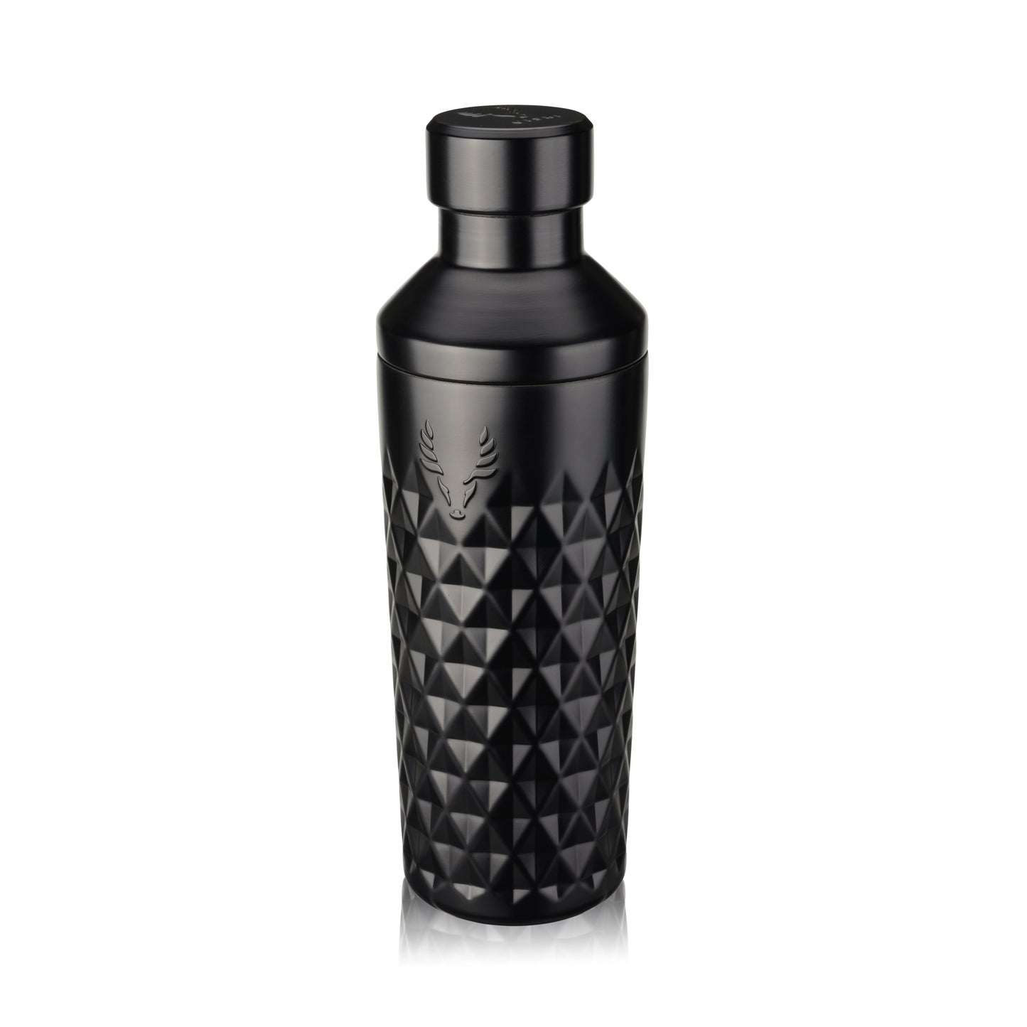 Paragon Stainless Steel Cocktail Shaker and Tin