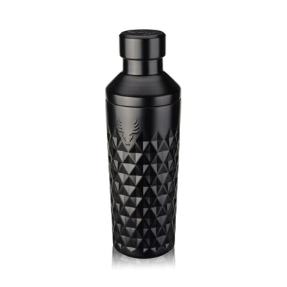 Paragon Stainless Steel Cocktail Shaker and Tin