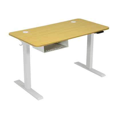 Escritorio eléctrico regulable de 48 pulgadas con panel de control y puerto USB - Beige