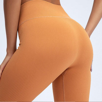 Leggings Stevvex orange ribbed high-waisted for workouts on Tampa Home & Garden Store