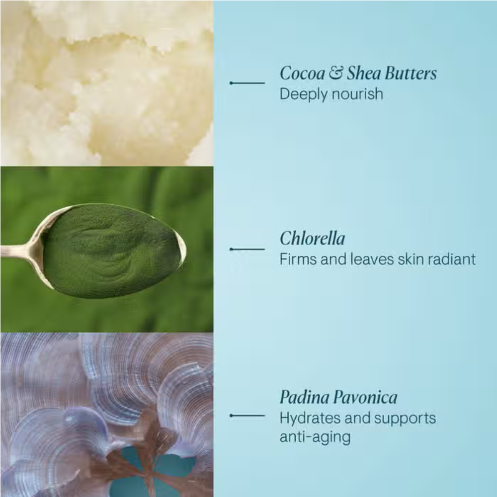 Elemis Pro-Collagen Marine Cream 50 ml moisturizer with cocoa butter and chlorella on Tampa Home & Garden Store