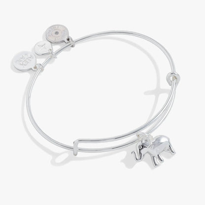 Lucky Elephant Charm Bangle for Good Luck