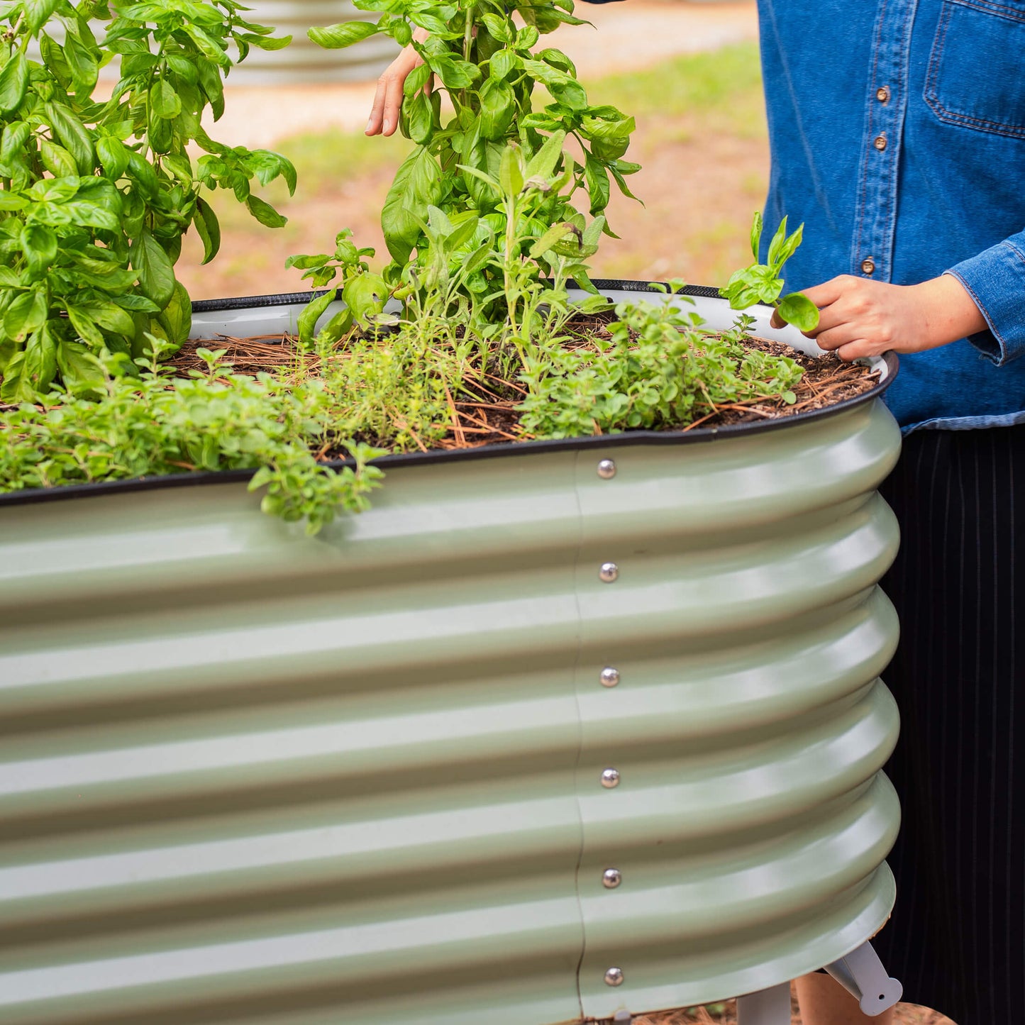 Jardinera elevada rodante Vego con riego automático | 2 tamaños