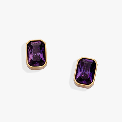 February Emerald Cut Birthstone Stud Earrings
