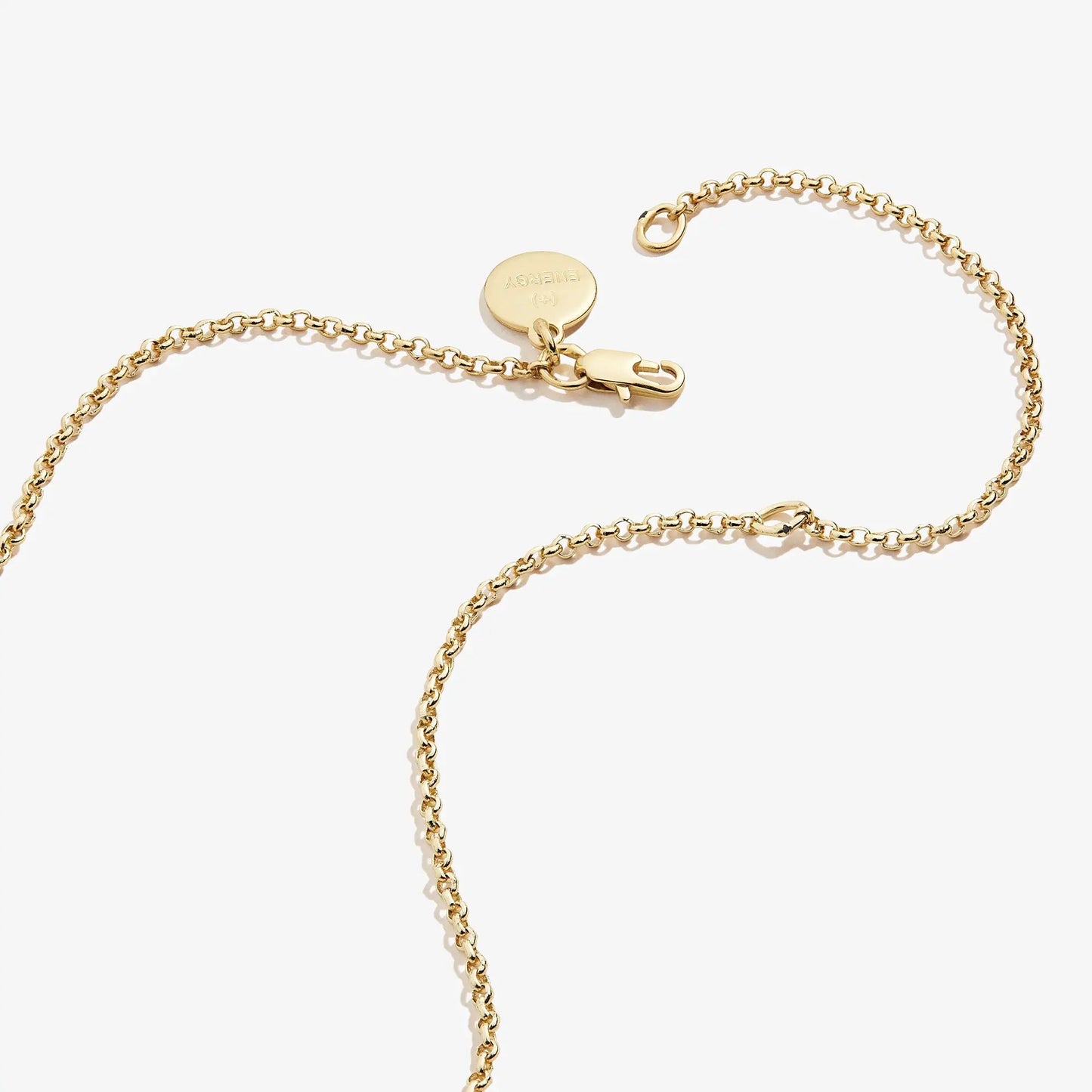 Alex and Ani Small Circle Charm Necklace gold-tone 19in with lobster clasp on Tampa Home & Garden Store