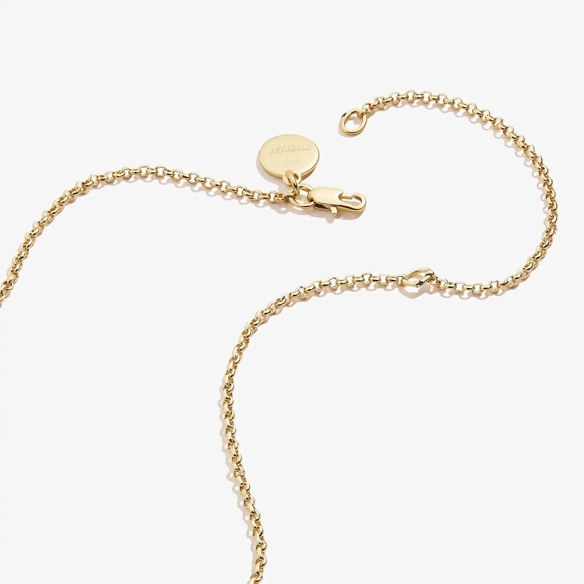 Alex and Ani Small Circle Charm Necklace gold-tone 19in with lobster clasp on Tampa Home & Garden Store