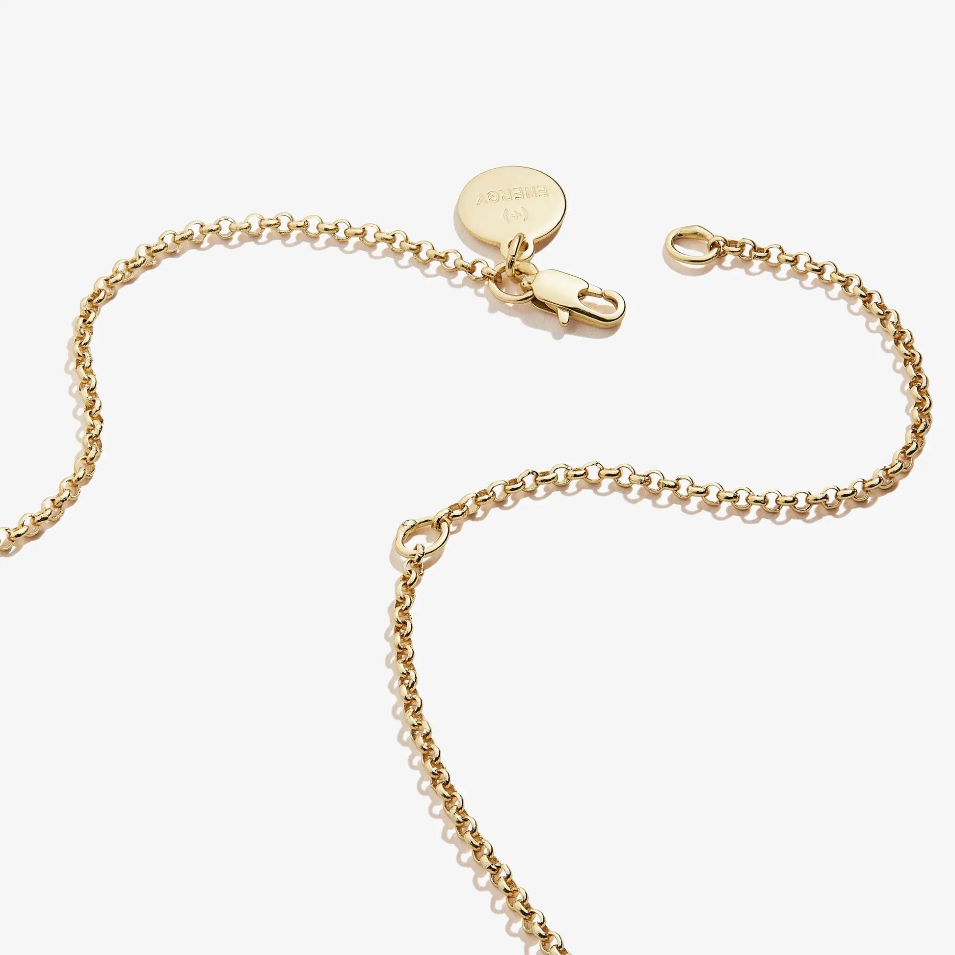 Small Heart Charm Necklace 19in gold-tone chain with ALEX AND ANI branding disc on Tampa Home & Garden Store