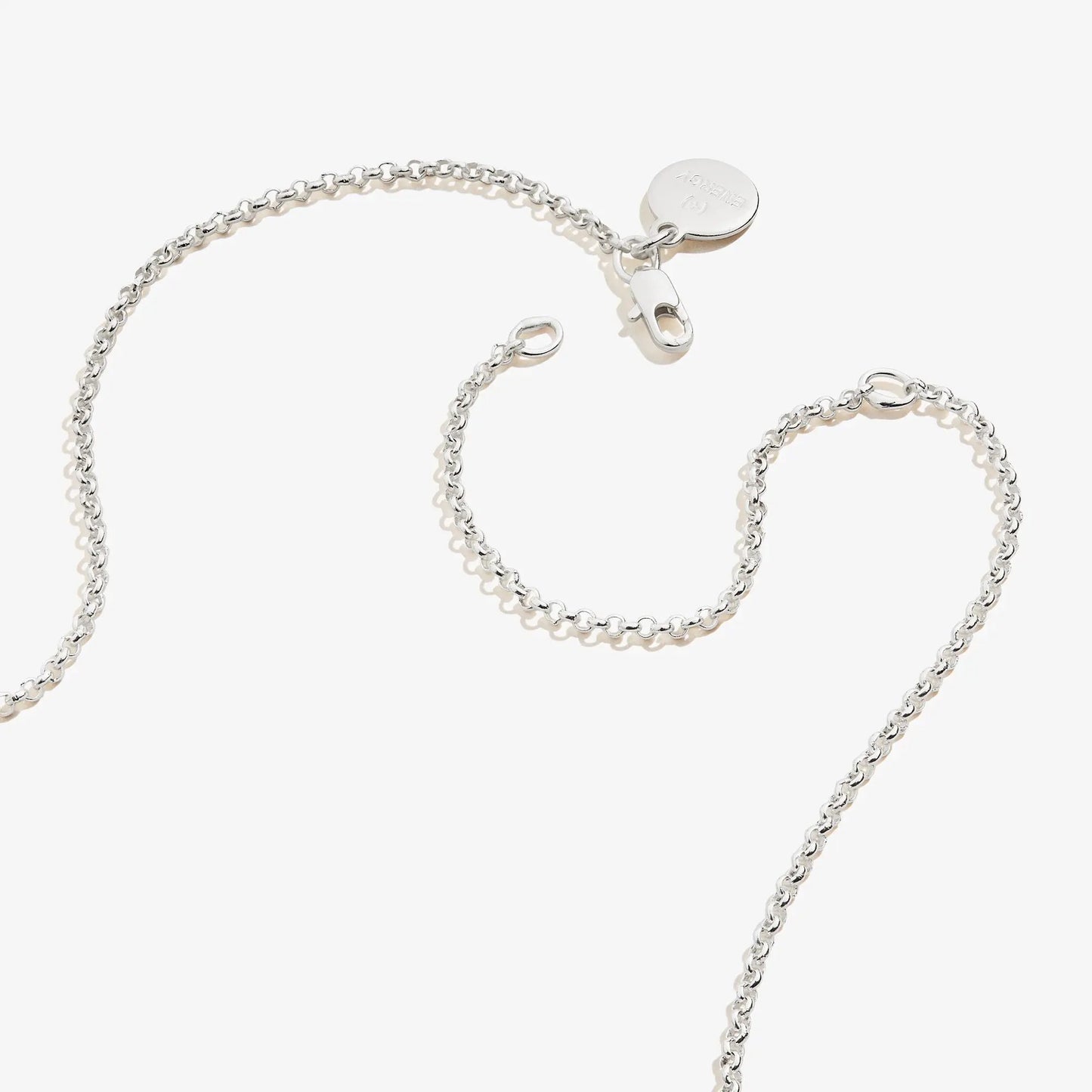 Small Heart Charm Necklace, silver-tone 19in chain, ALEX AND ANI logo tag, lobster clasp on Tampa Home & Garden Store