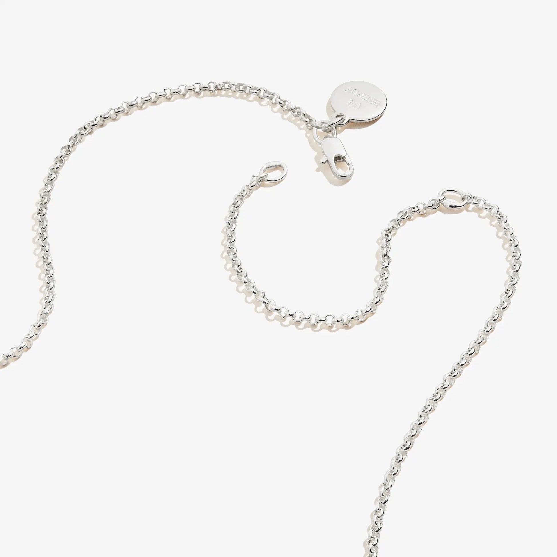 Small Heart Charm Necklace, silver-tone 19in chain, ALEX AND ANI logo tag, lobster clasp on Tampa Home & Garden Store
