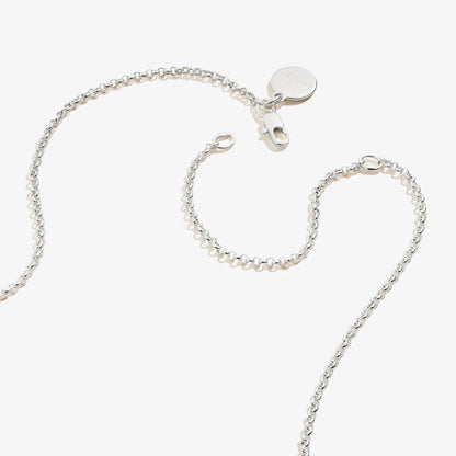 Small Heart Charm Necklace, silver-tone 19in chain, ALEX AND ANI logo tag, lobster clasp on Tampa Home & Garden Store