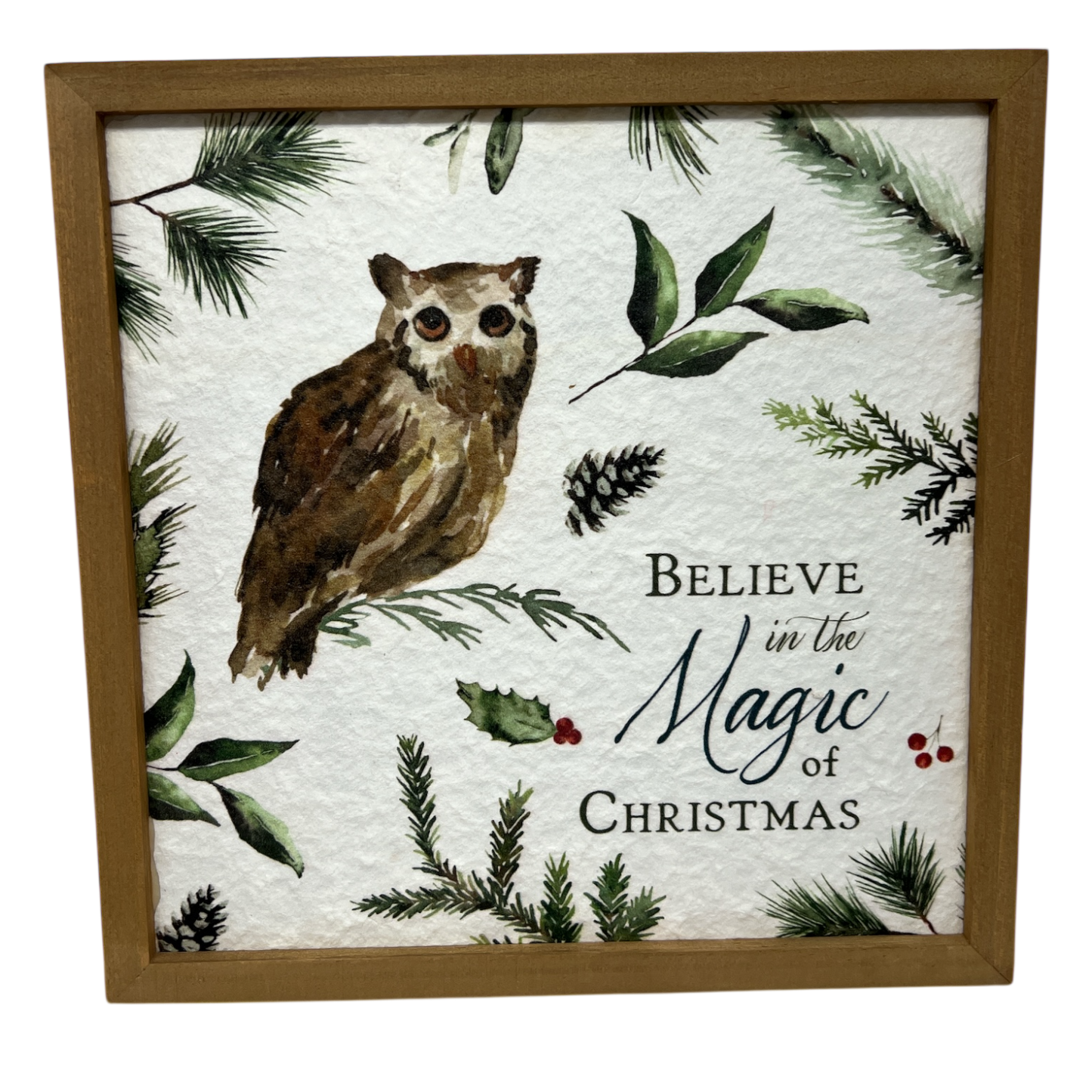 Croyez à la magie de Noël (Imprimé)