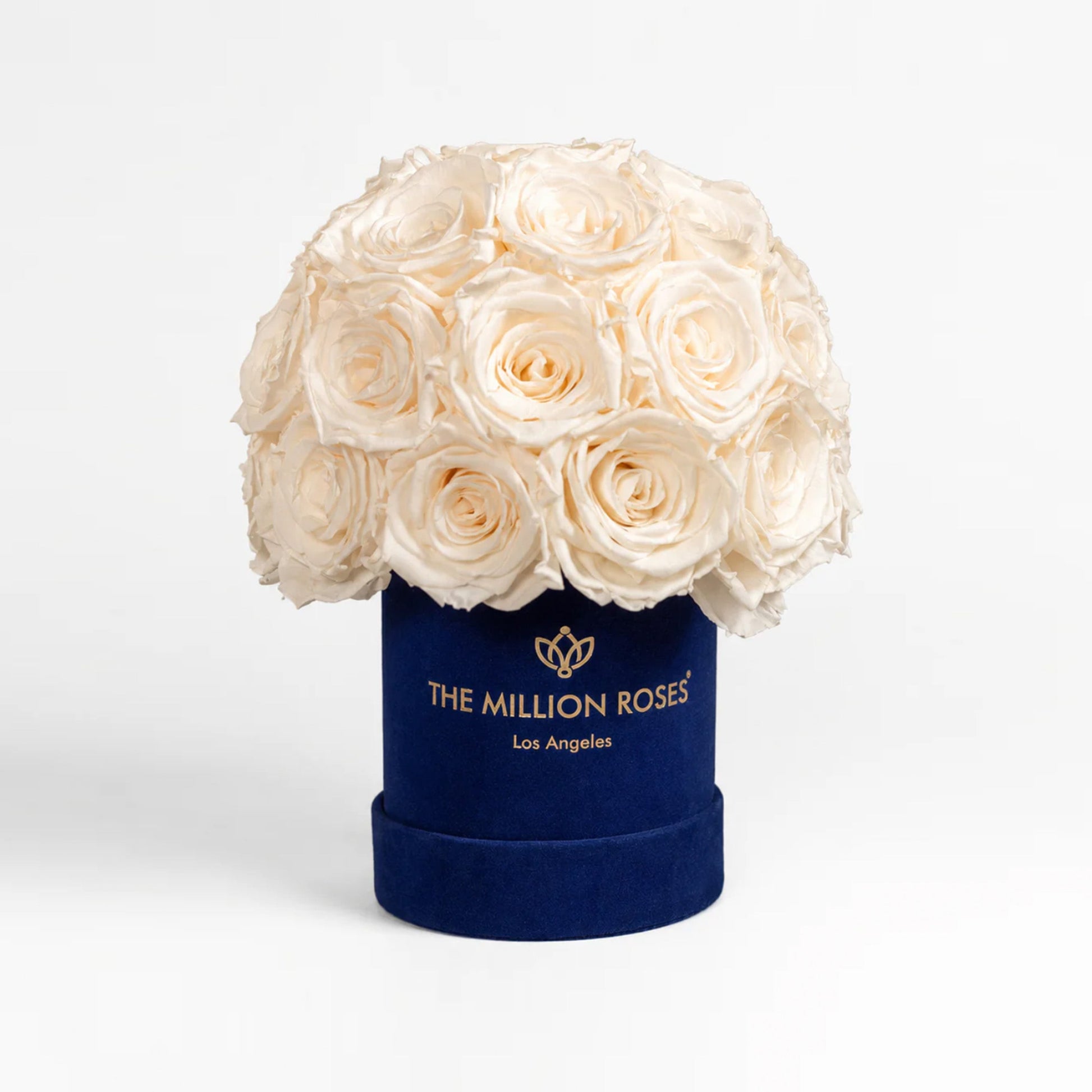 Essence Royal Blue Suede Superdome Box with white roses by The Million Roses on Tampa Home & Garden Store