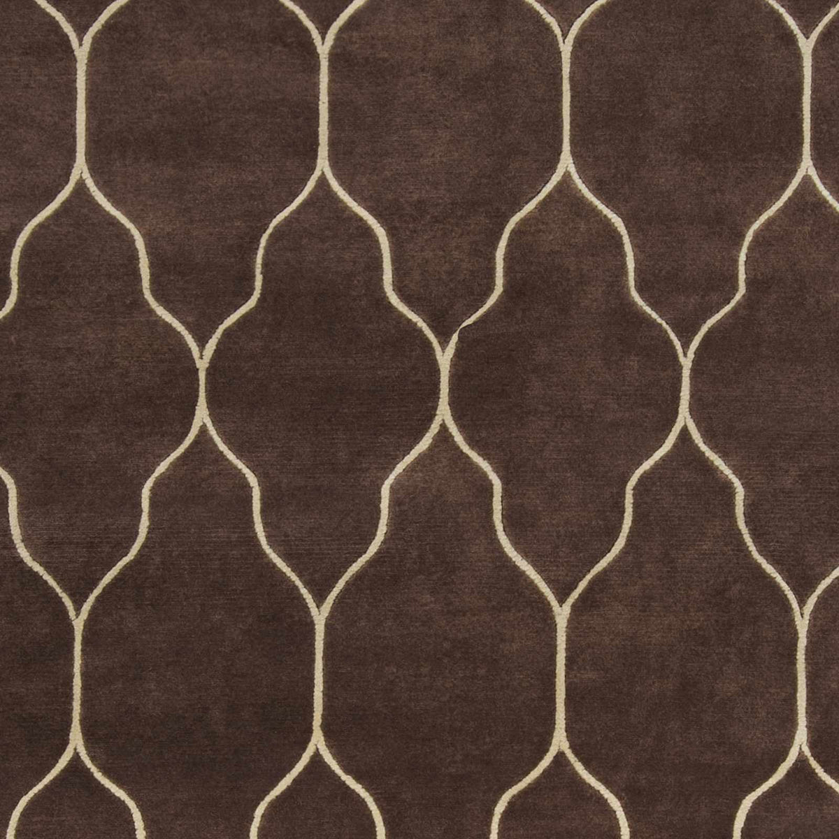 Evant Area Carpet brown with cream trellis pattern Boutique Rugs on Tampa Home & Garden Store