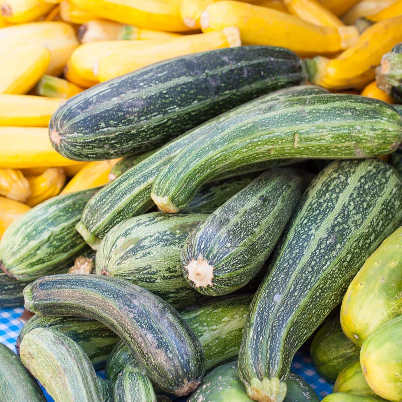 Graines de courge d'été Cocozelle (biologiques)