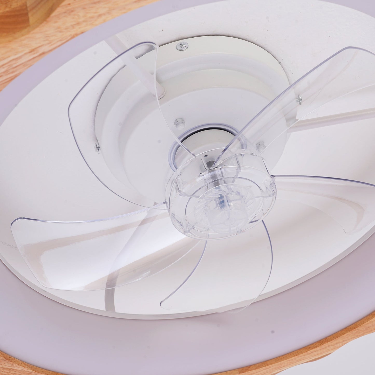 20-inch Plum Blossom flush mount ceiling fan with lights and remote, white housing and clear acrylic blades on Tampa Home & Garden Store
