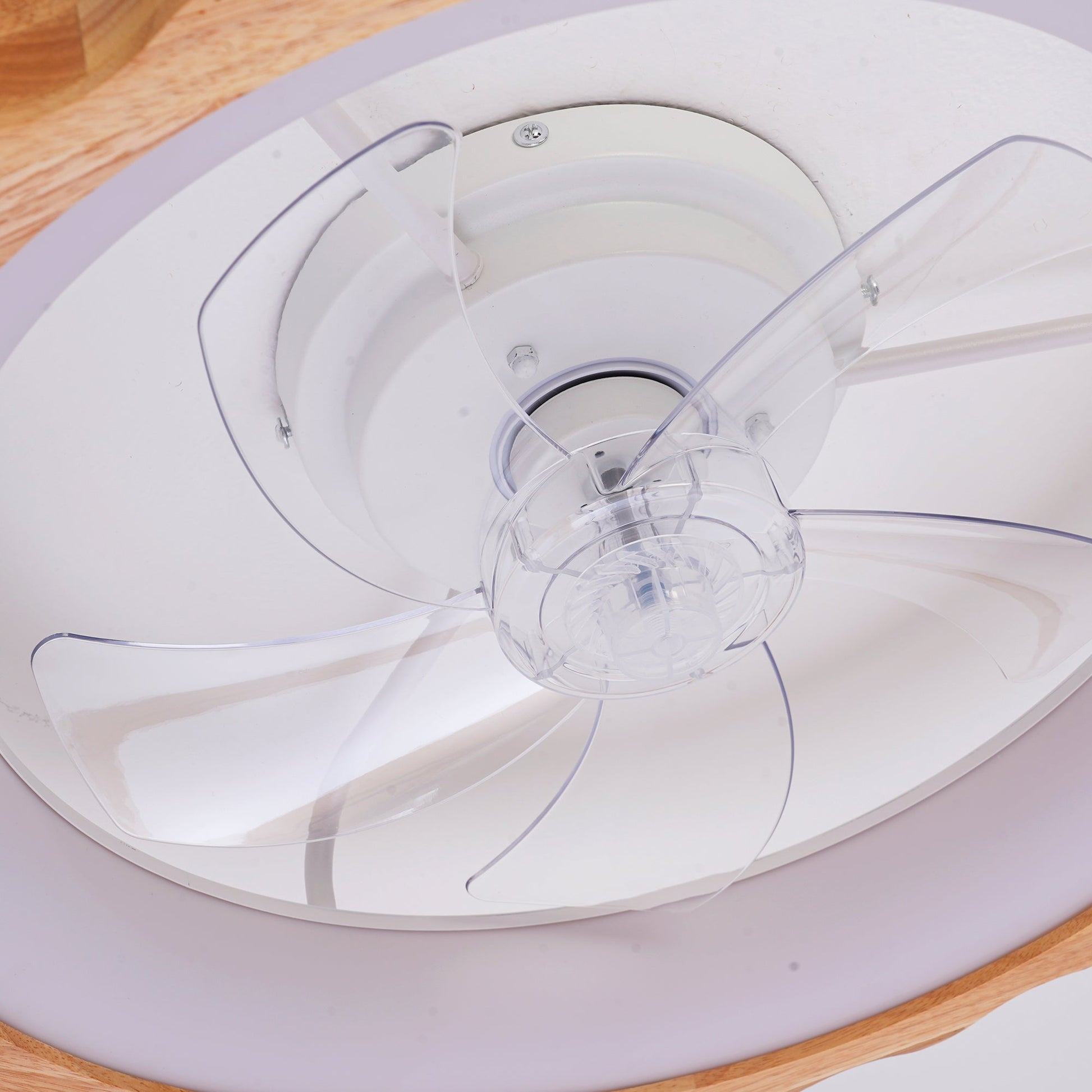 20-inch Plum Blossom flush mount ceiling fan with lights and remote, white housing and clear acrylic blades on Tampa Home & Garden Store